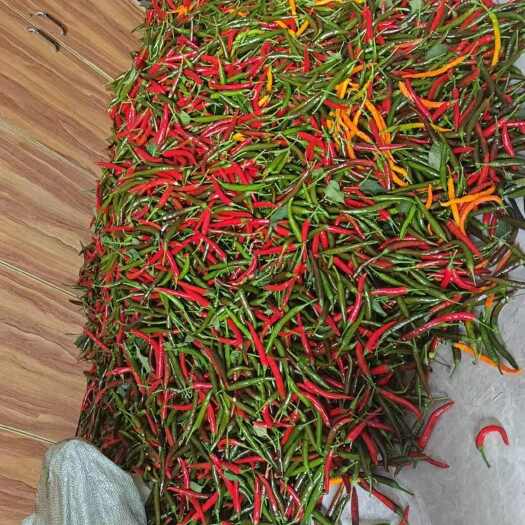 开江县艳椒、二荆条大量上市，欢迎大家来咨询。