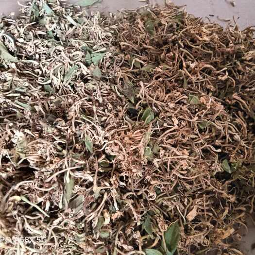 安龙县纯日晒干统货金银花，无硫磺，剂