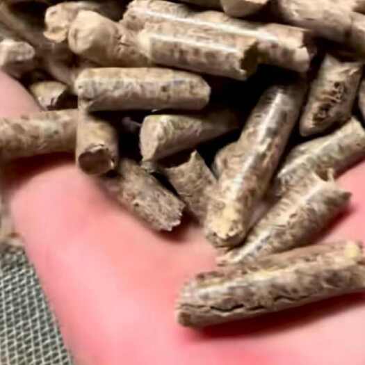 荥阳市优质生物质颗粒燃料，松木1100一吨
