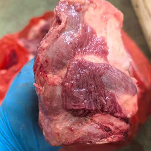 大厂县带肉牛喉头