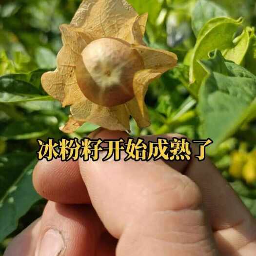 威宁县初源农产品贸易中心