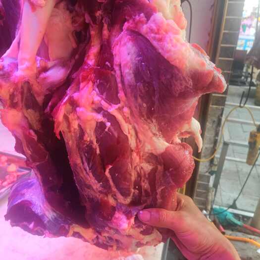 安顺土黄牛新鲜牛肉