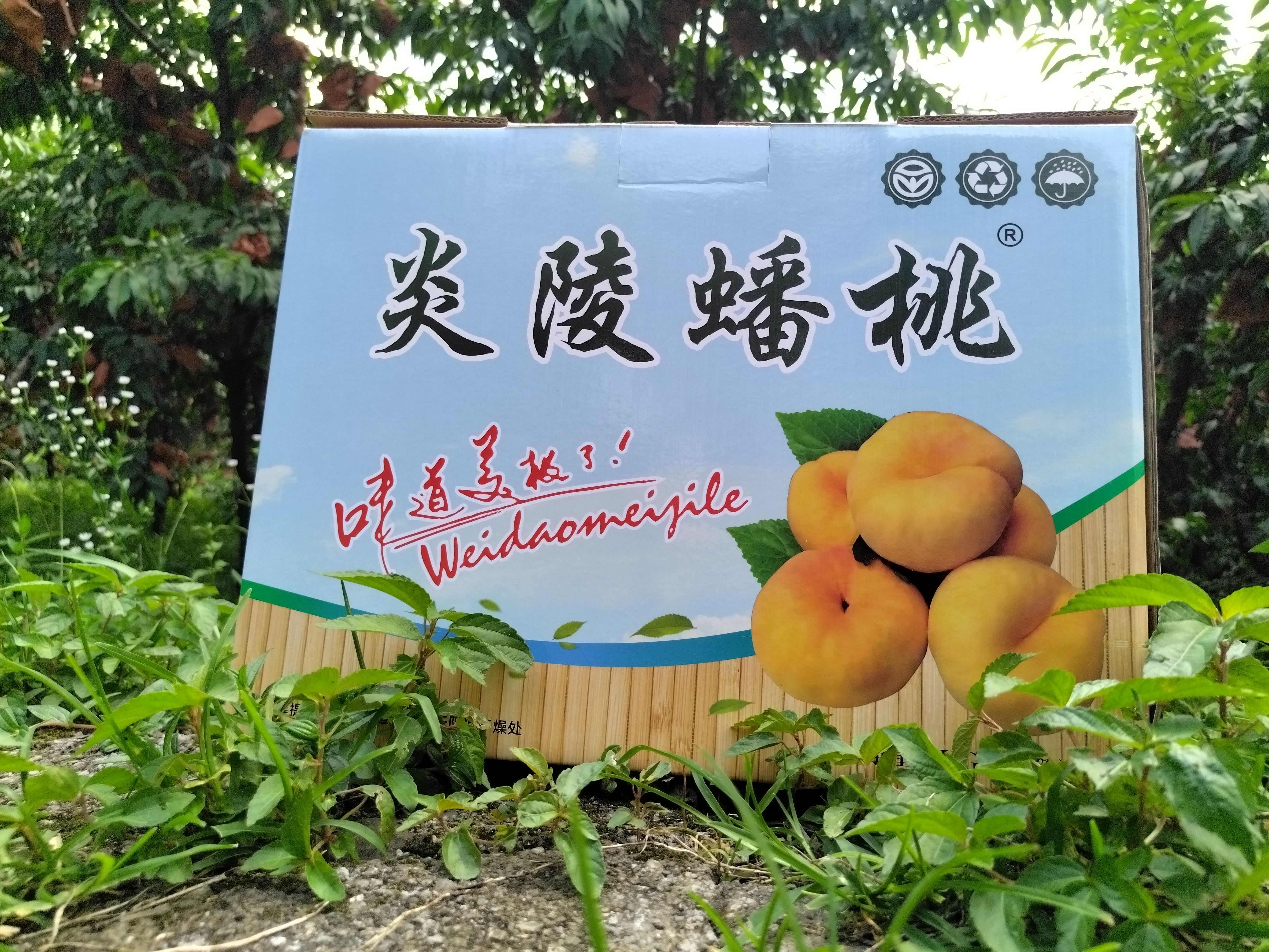 炎陵黄蟠桃，黄金蟠桃，果园新鲜采摘发货，王母娘娘蟠桃宴贡品，