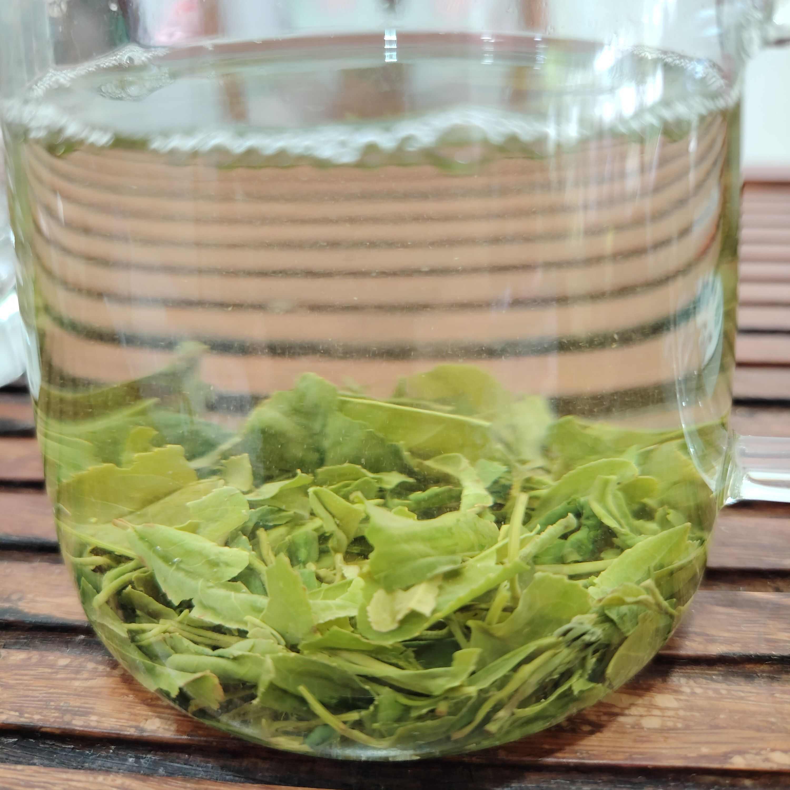 高温降暑  信阳绿茶口粮茶