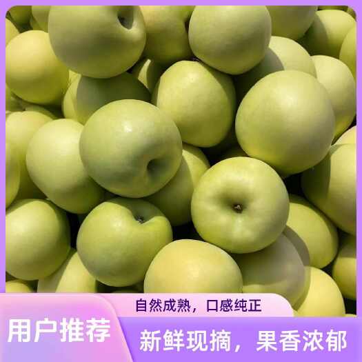 山西运城临猗青苹果 新鲜水果核果仁果类 直供电商批发