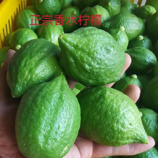 无籽新鲜果园柠檬广东现发香水正宗一级皮厚柠檬茶专用奶茶商用