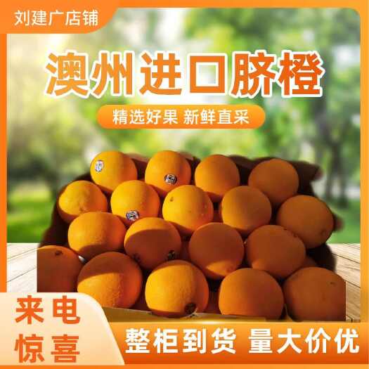 上海澳橙，整柜到货，量大从优