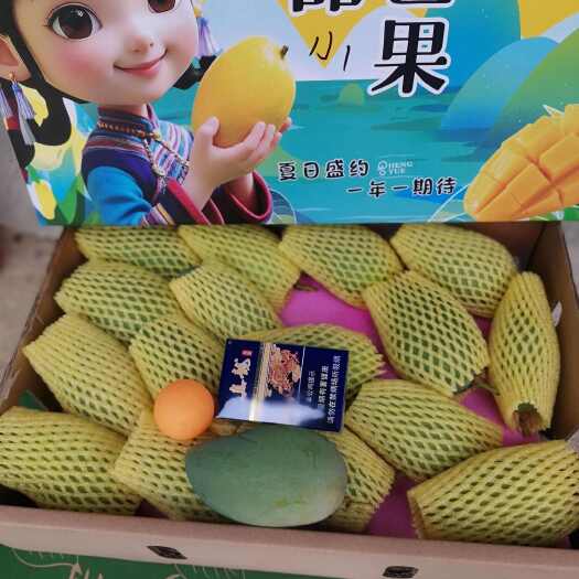 田东县百色芒果特大精品小台农甜芒果园直发一手货源实物如图一件发货