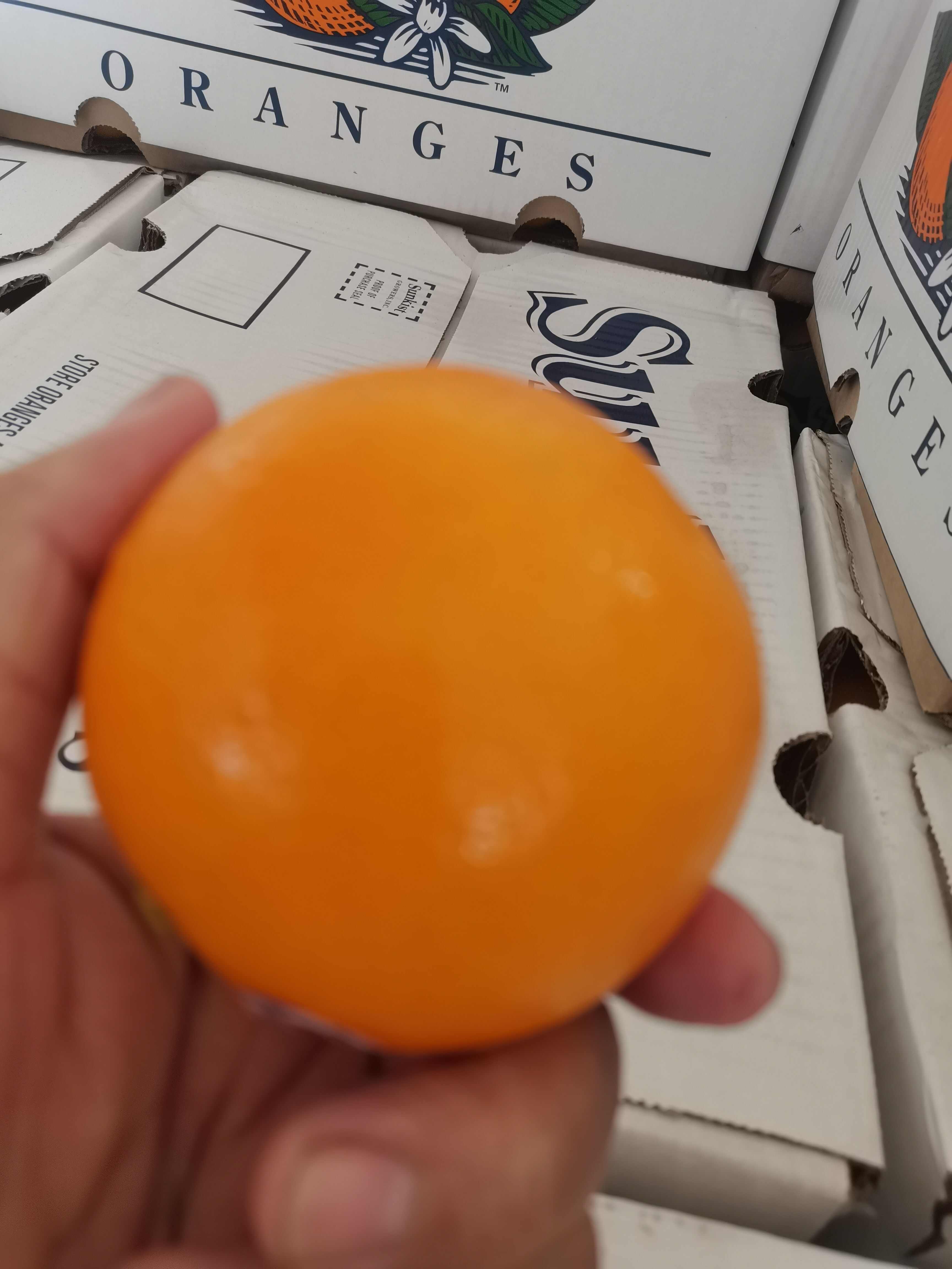 澳橙，整柜到货，量大从优