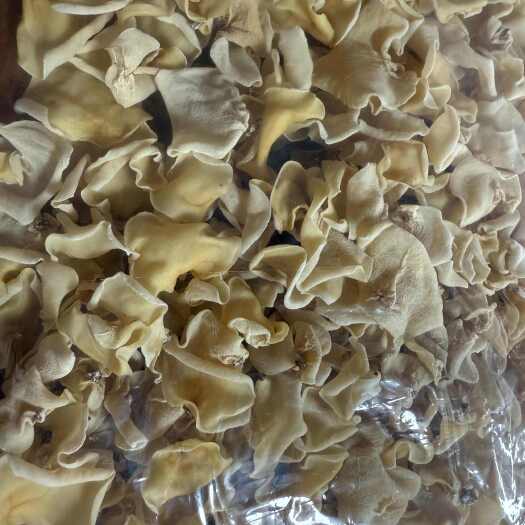 保定白玉木耳，品质特别好