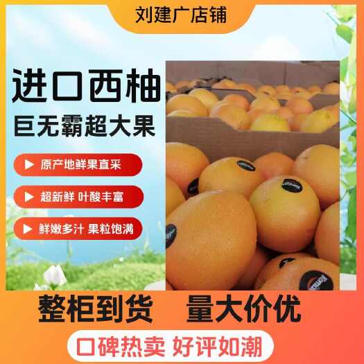 南非西柚，整柜到货，量大从优