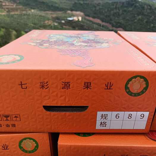 会理市会理突尼斯软籽石榴一件代发 甘甜可口