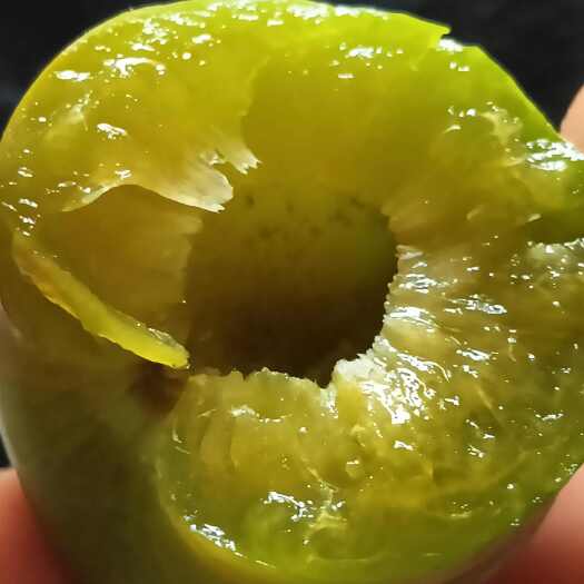 卡密脆优系李子苗，卡密斯香密李子苗优系，卡密斯升级版