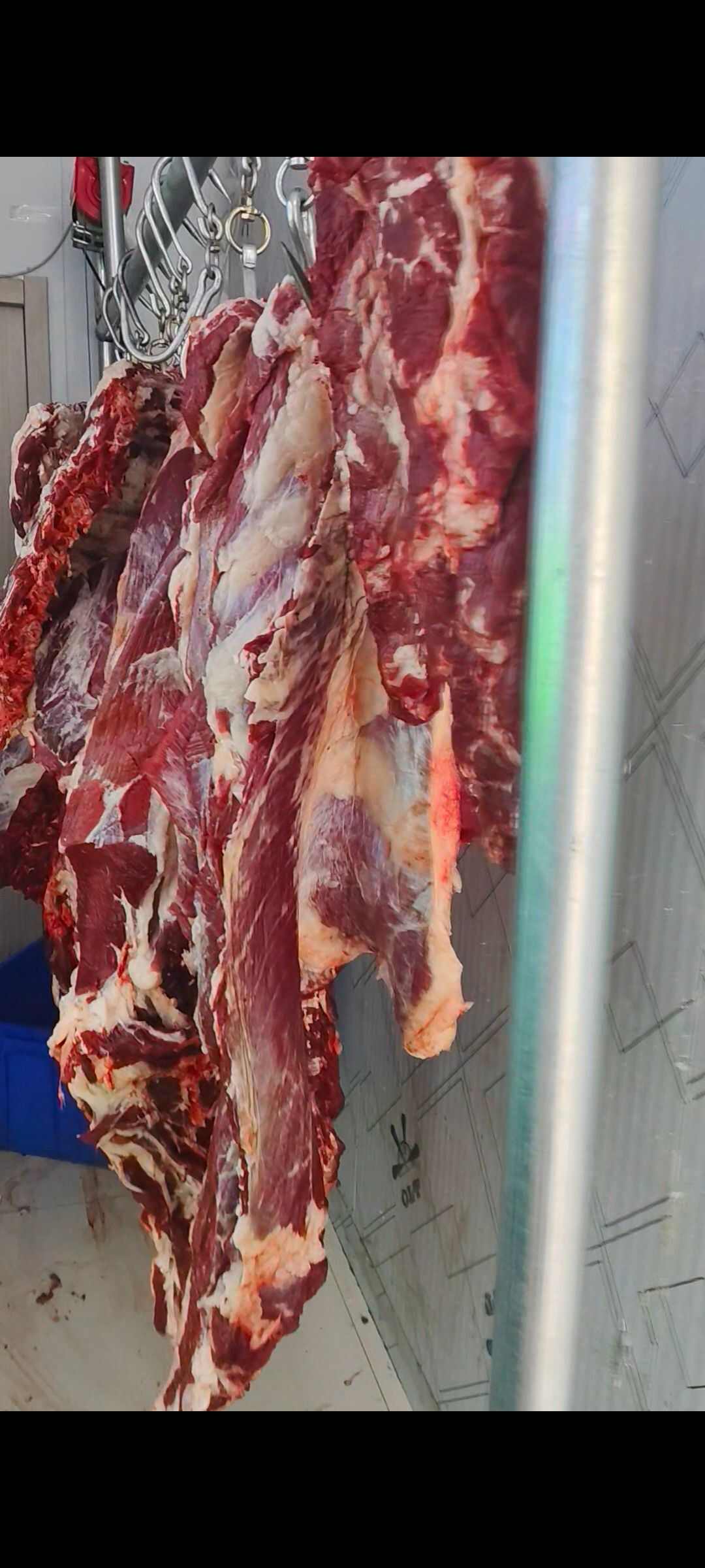 清真精品牛腿肉，精修取油牛肉