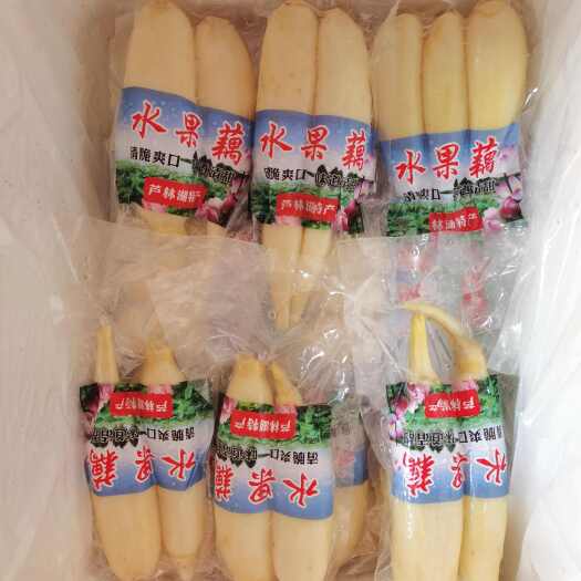 真空包装水果藕，藕头，