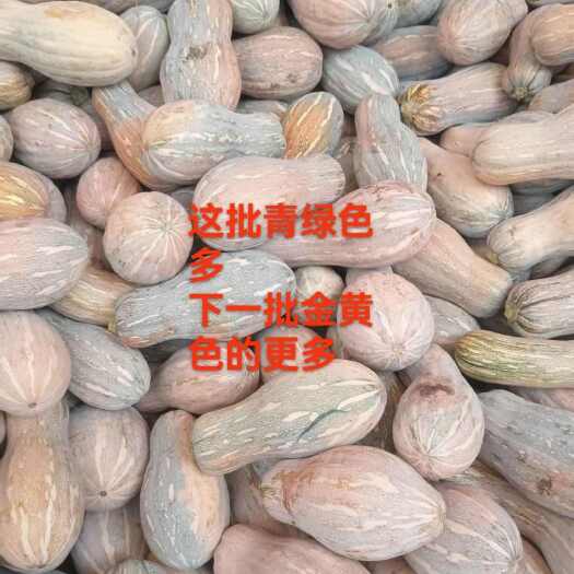 南瓜