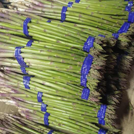 江苏省常州市农产品绿芦笋