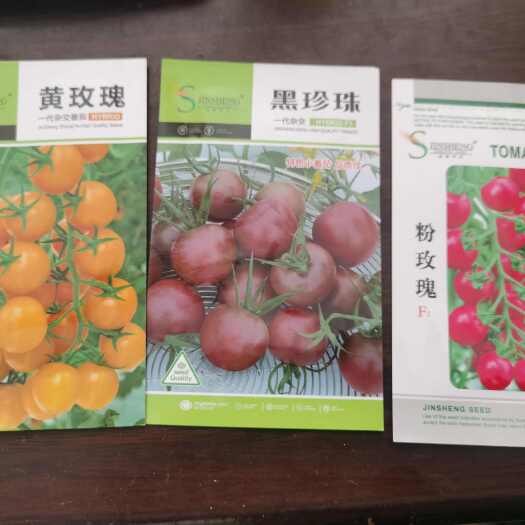 南阳樱桃番茄种子  黑珍珠黄玫瑰粉玫瑰水果西红柿种子