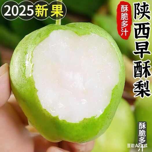 西安正品陕西早酥梨薄皮梨子水果酥梨整箱当季新鲜批发酸脆爆汁包邮