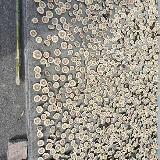 售衢州胡柚青果切片嗮干