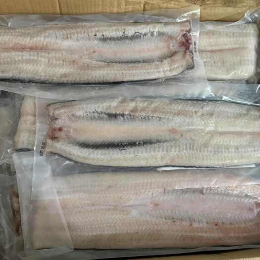 余干县生鳗鱼片