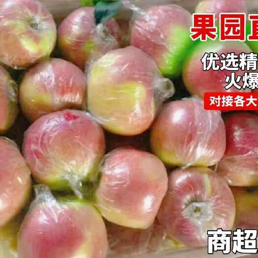 美八苹果大量上市中，精品奉献！肯定让你满意