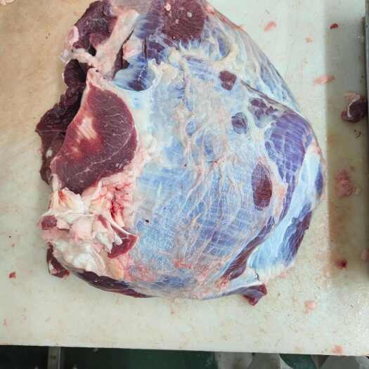 阳信县牛肉