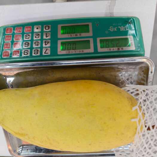 郁南县金煌芒