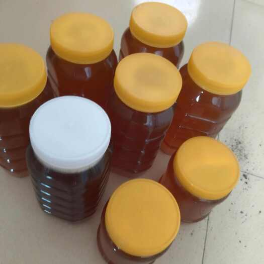 东莞市土蜂蜜，江西省，吉安产品