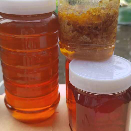 泸州大山里老农自家养的蜜蜂少量，保证货真。等有缘人