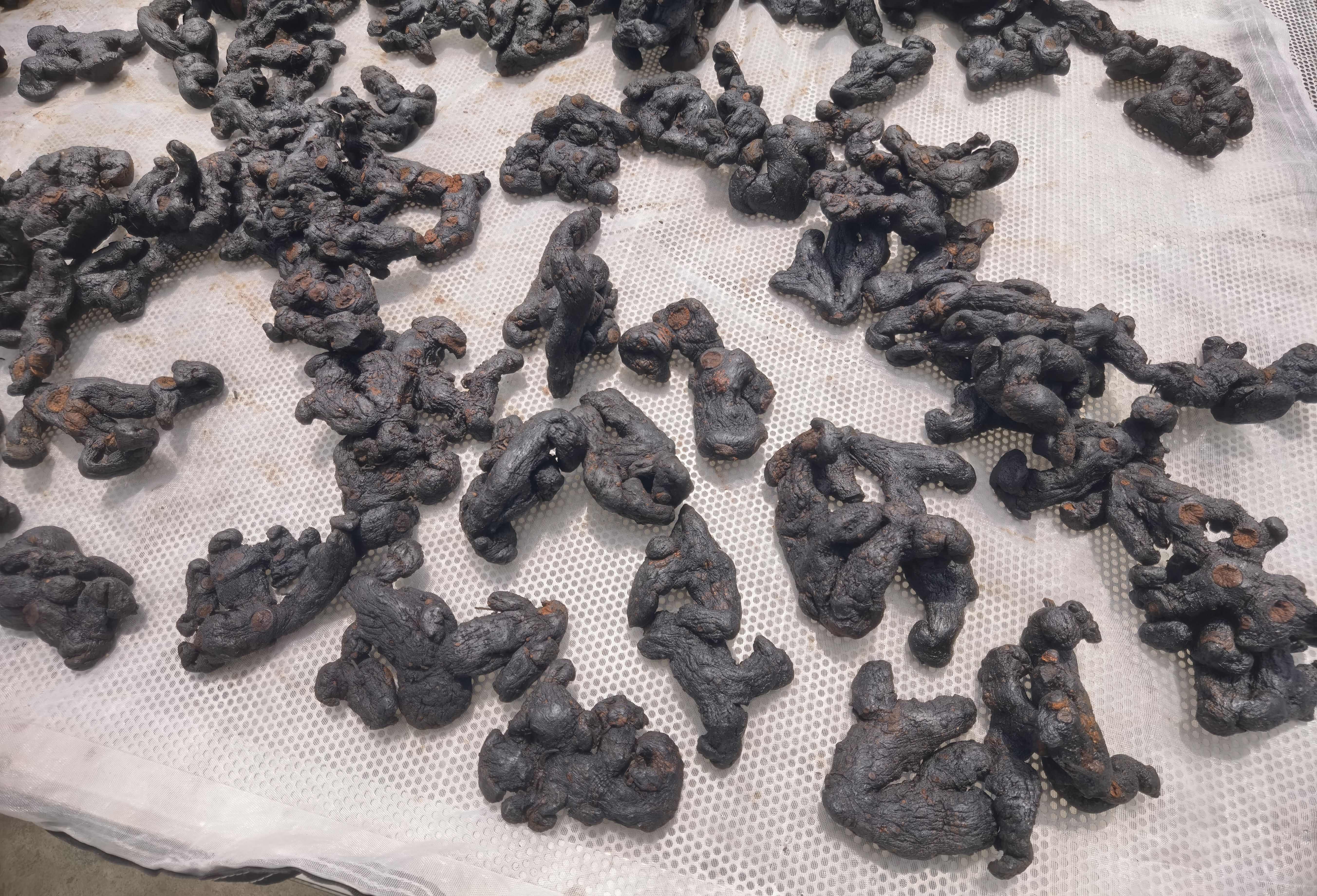 都江堰市四川青城山九制黄精，九蒸九晒发源地，思邈道法技艺，纯柴火蒸制