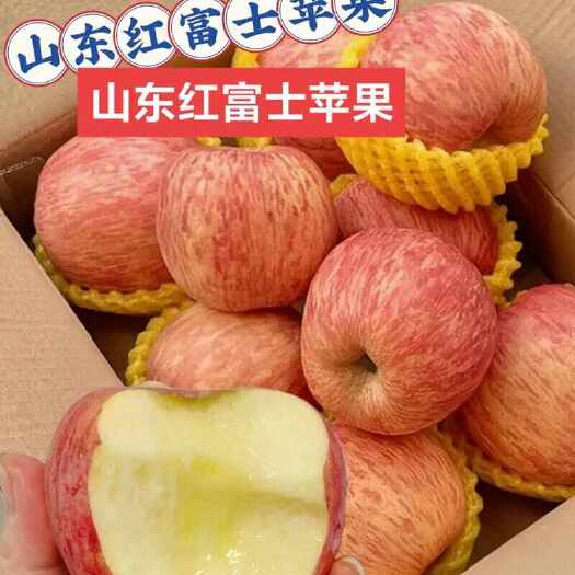 蒙阴县供应红富士苹果，产地批发，脆甜，按需挑选全国发货