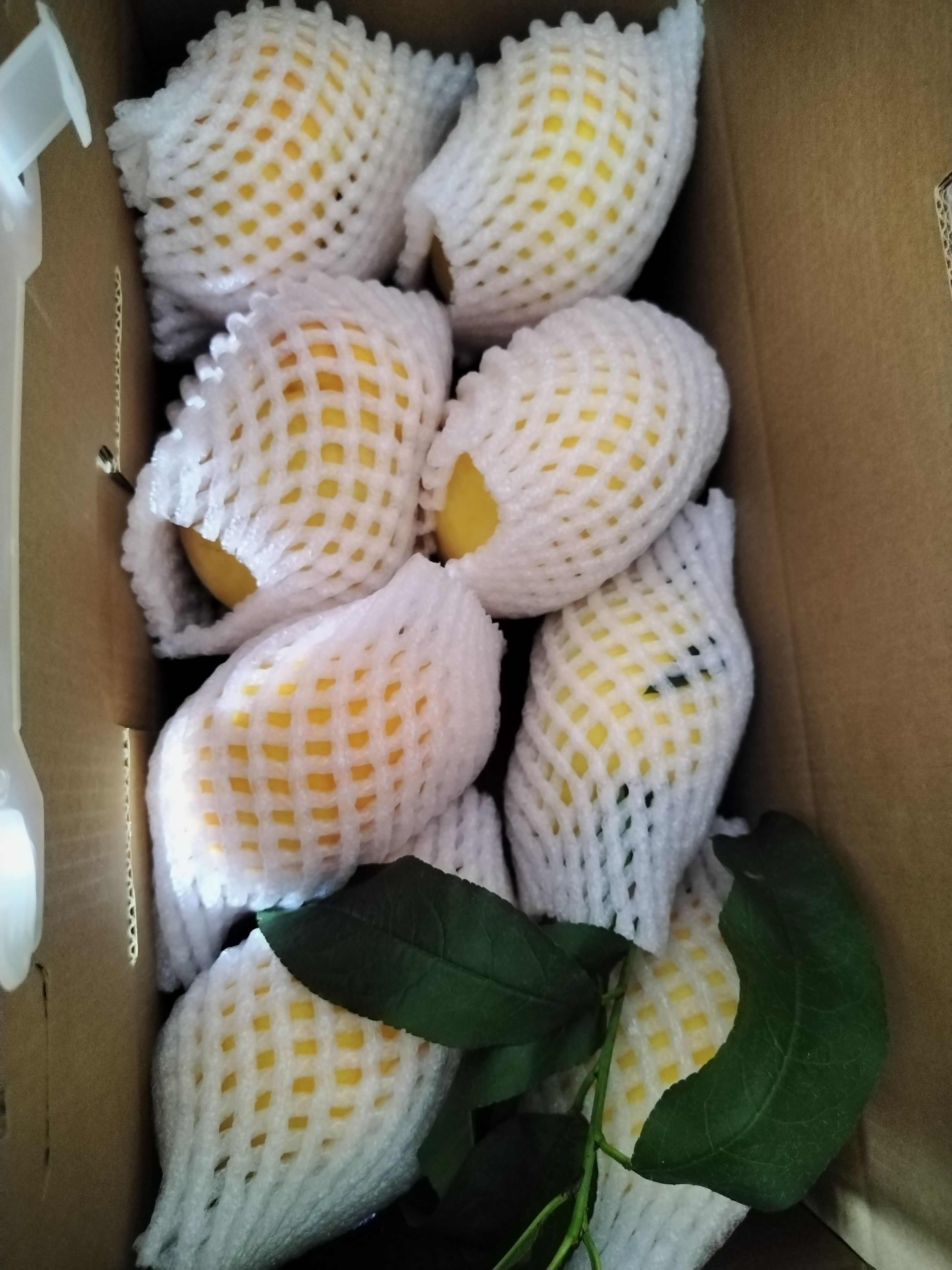 炎陵黄蟠桃，黄金蟠桃，果园新鲜采摘发货，王母娘娘蟠桃宴贡品，
