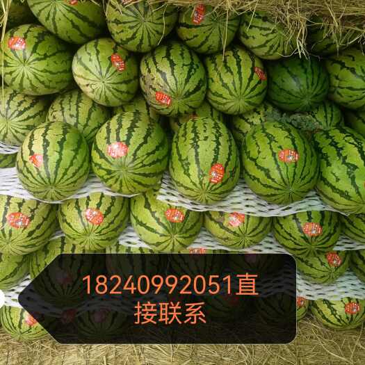 靖远县石头缝里的西瓜