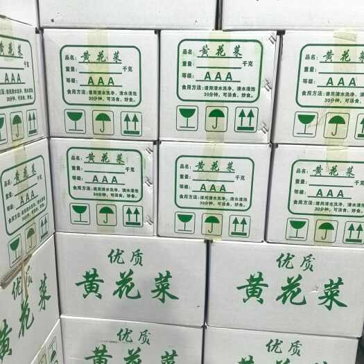 东莞市黄花菜