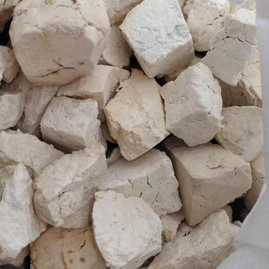 玉林茯苓块