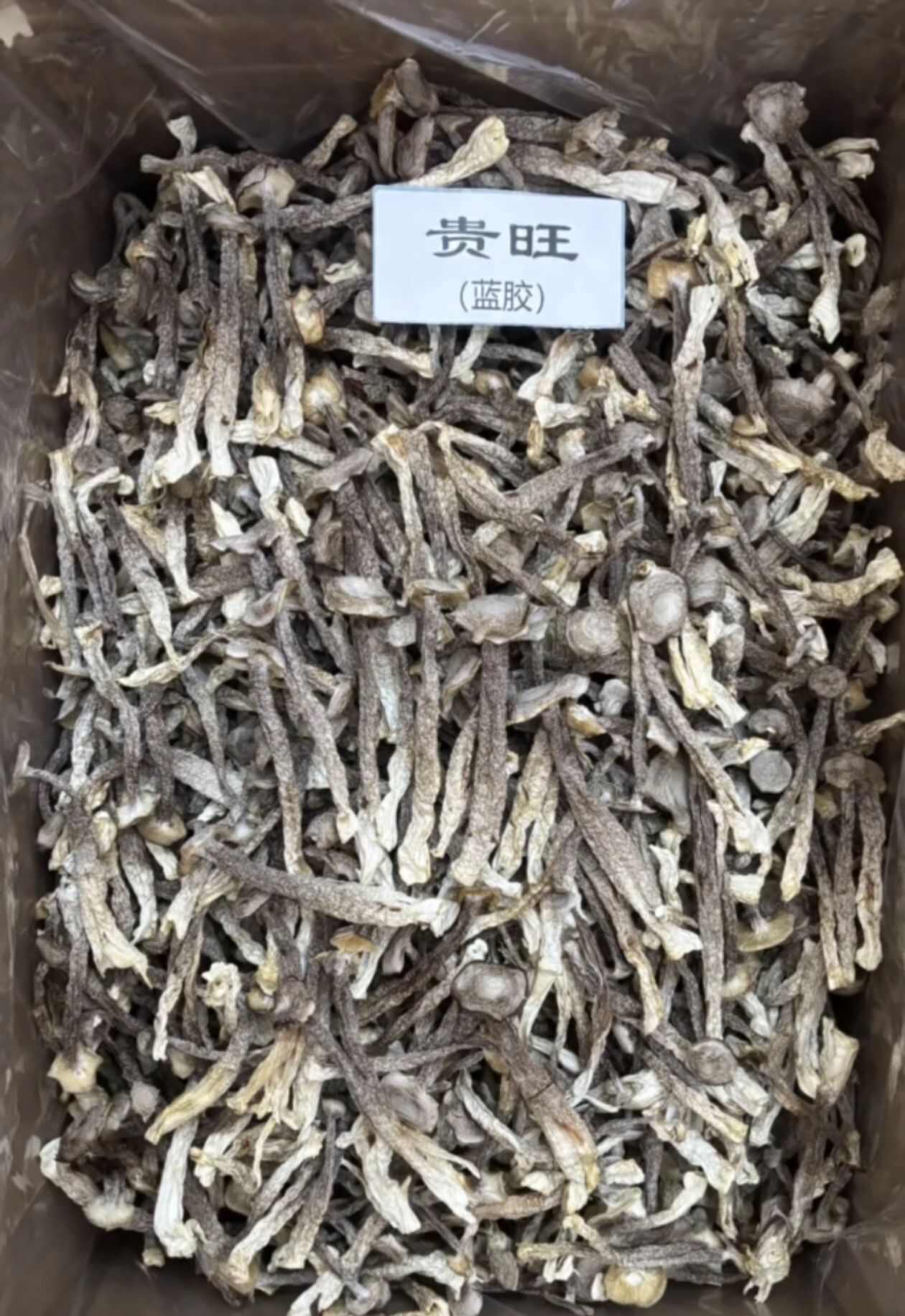 鹿茸菇 中条A货 245   贵州省内包配送