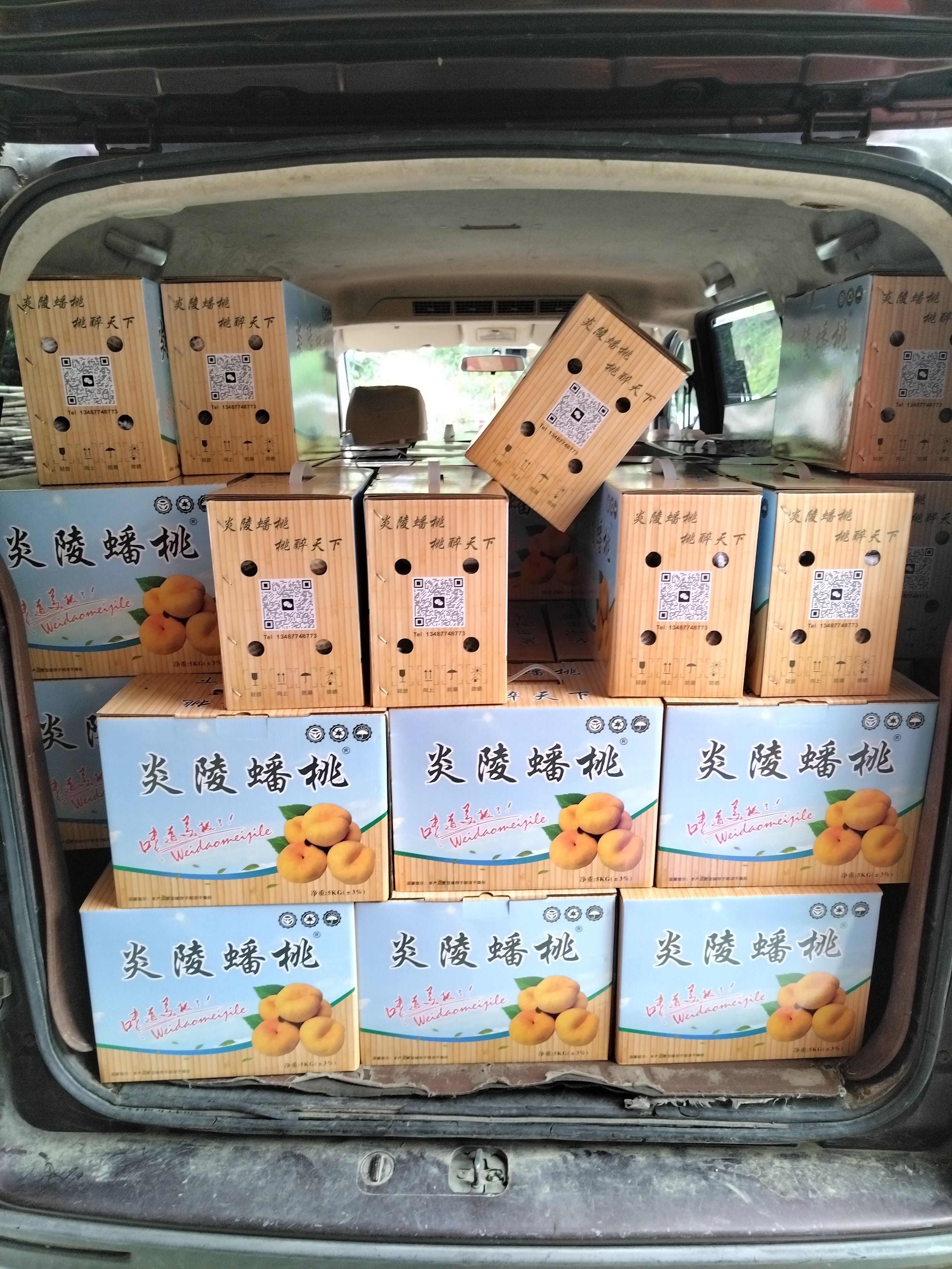 炎陵黄蟠桃，黄金蟠桃，果园新鲜采摘发货，王母娘娘蟠桃宴贡品，