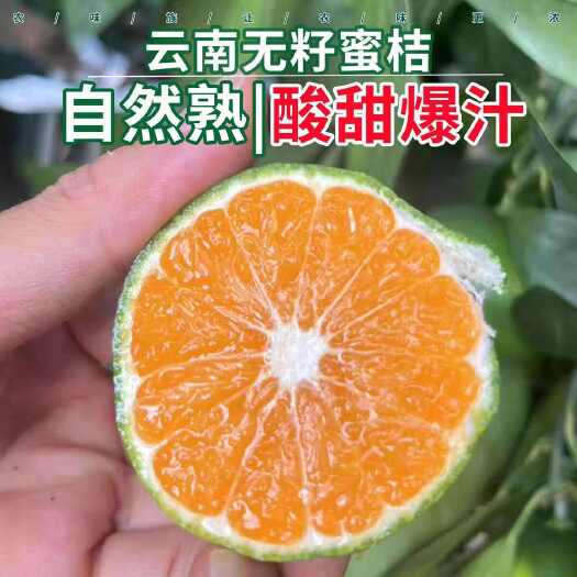华宁县云南蜜橘特早熟桔子新鲜水果9斤当季青皮桔子无籽薄皮橘子