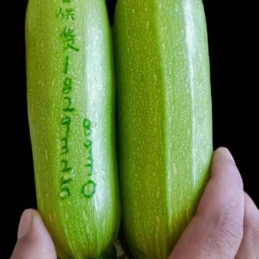 定西高原夏菜，质量好，货品足。长期大量供货