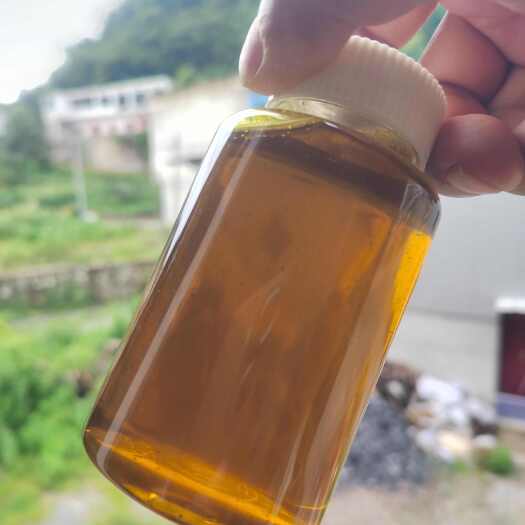 镇宁县贵州安顺 本地菜籽 大菜籽 湖北菜籽