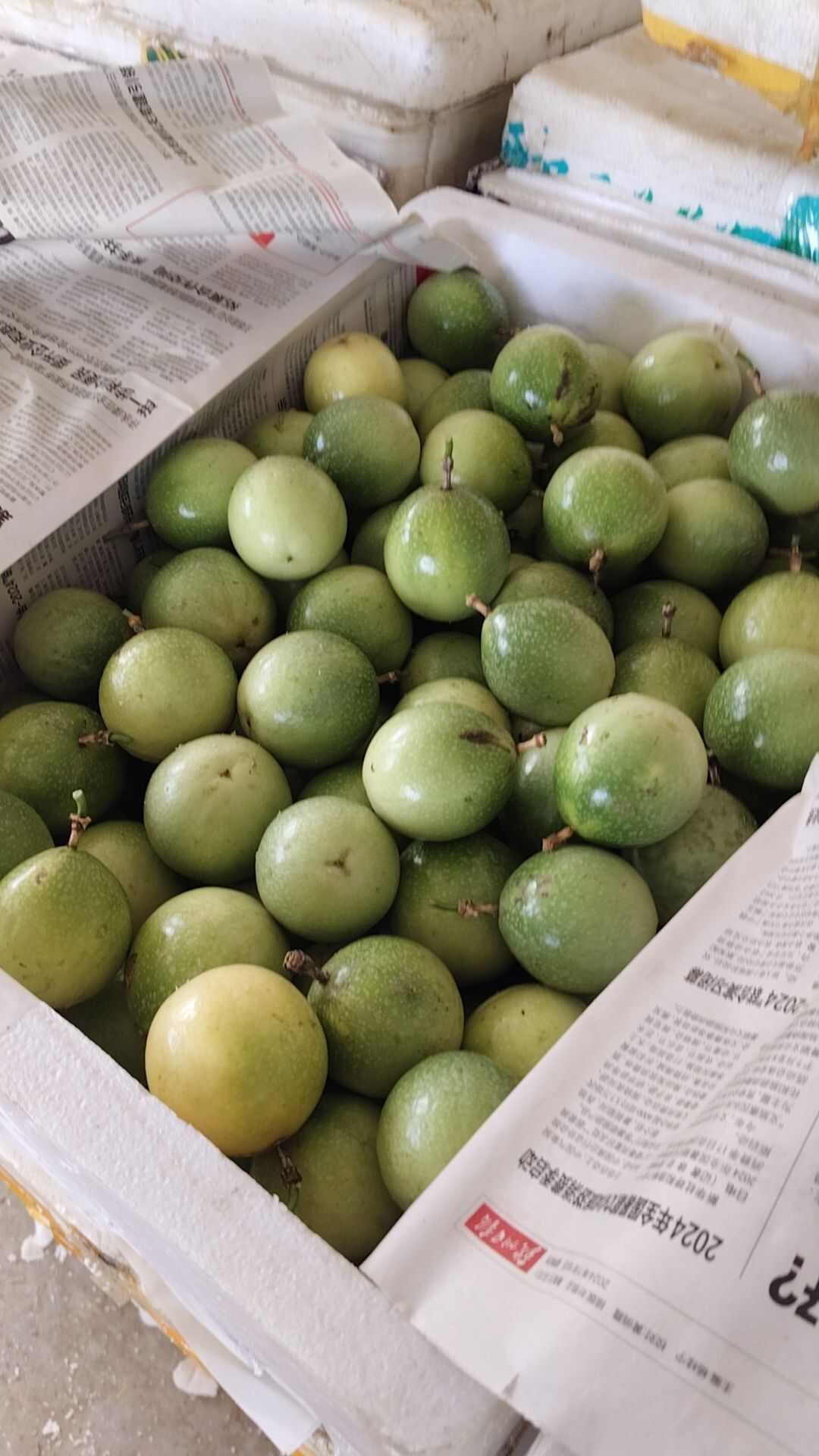 黄金百香果