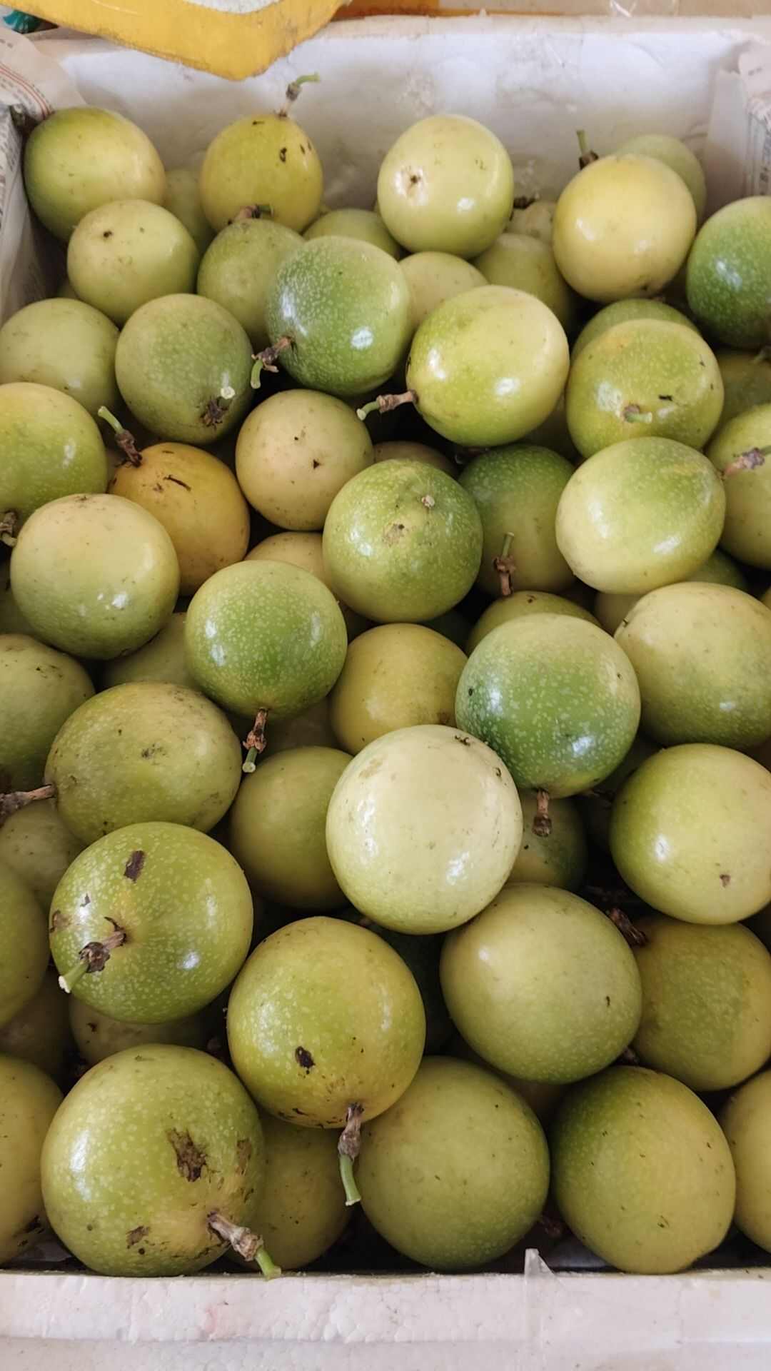黄金百香果