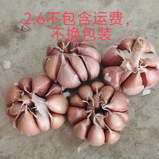 金乡县金乡县太空大蒜
