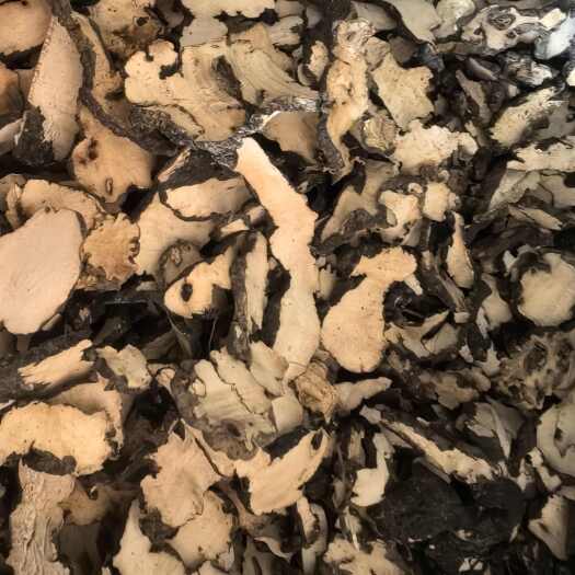 洛南县陕西洛南优质猪苓片产地直供