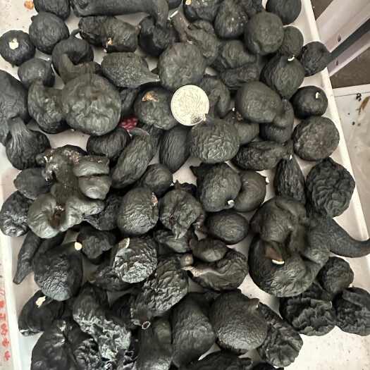 梧州乌灵参，雷震子，鸡枞蛋