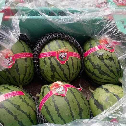 滑县小吊瓜西瓜