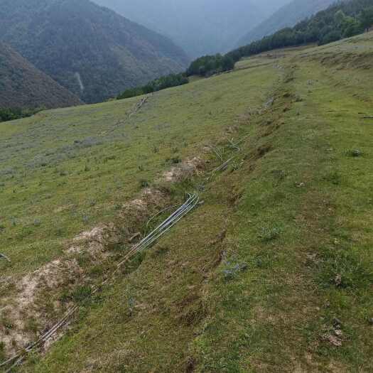 蔬菜基地出租