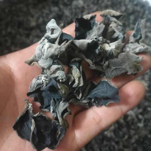 白山长白山黑木耳无增重不熏硫12+倍泡发
