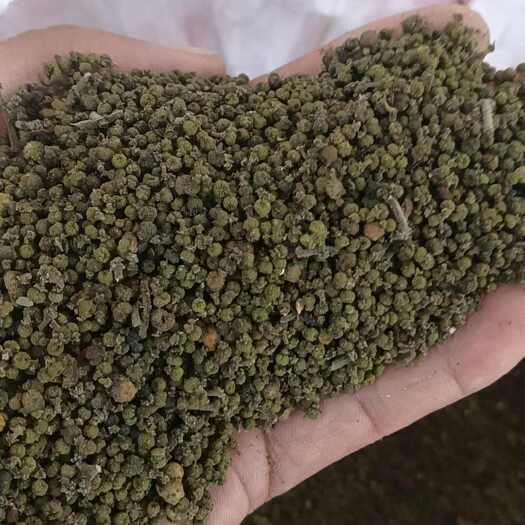 瑞昌市江西瑞昌吴茱萸中药材果实籽仁类批发